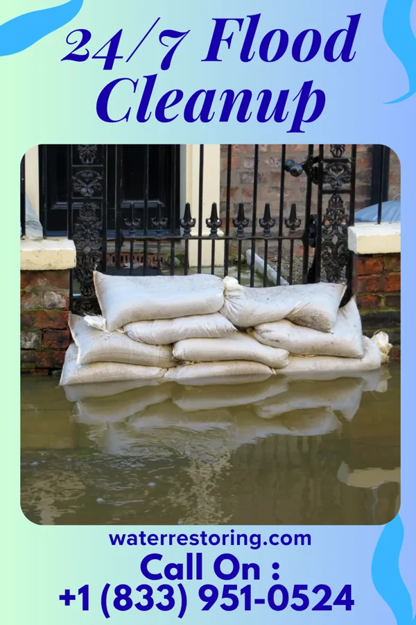 24/7 Flood Cleanup in Countryside, VA