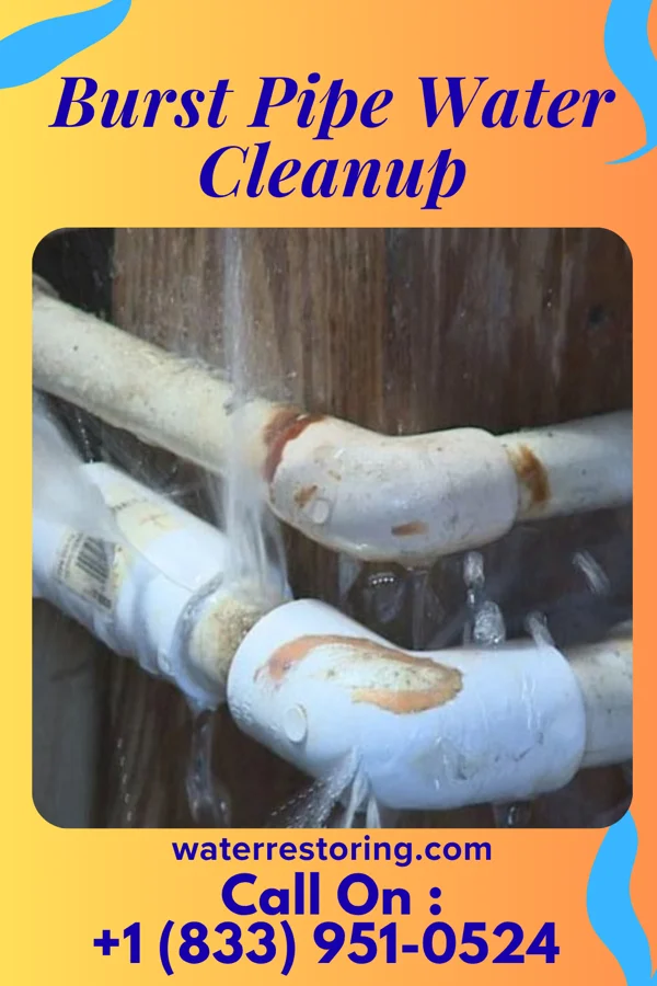 Burst Pipe Water Cleanup in Countryside, VA