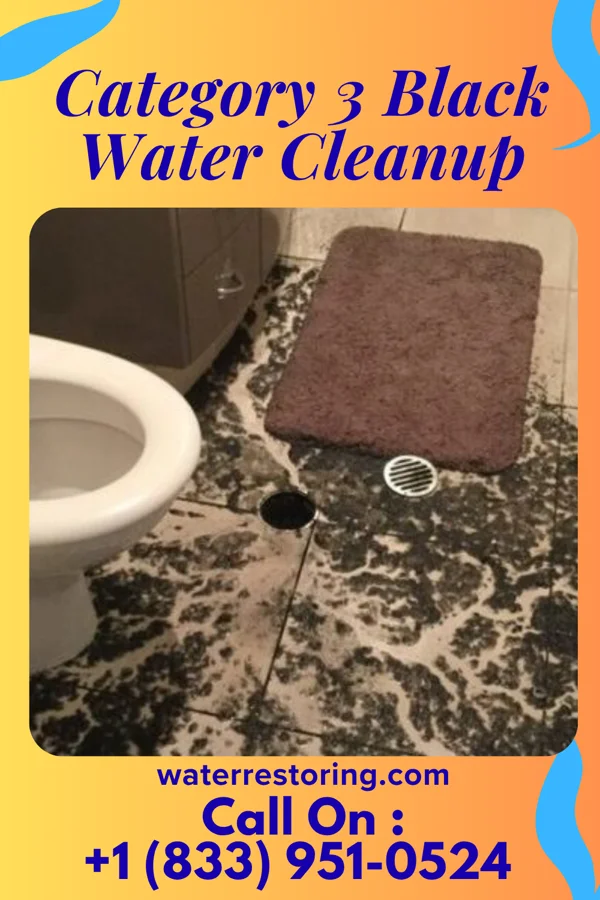Category 3 Black Water Cleanup in Countryside, VA