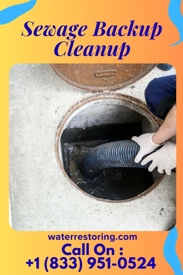 Sewage Backup Cleanup in Countryside, VA