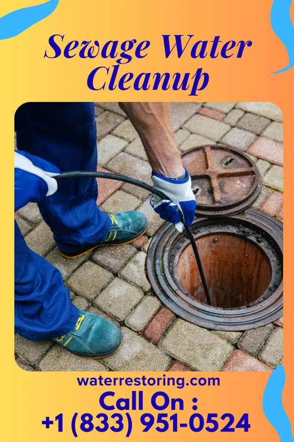 Sewage Water Cleanup in Countryside, VA