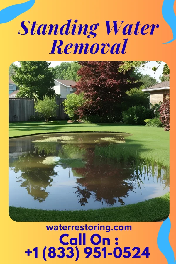 Standing Water Removal in Countryside, VA